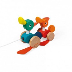 CANARDS A PROMENER ZIGOLOS